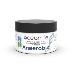 Anaerobic - 80 ml