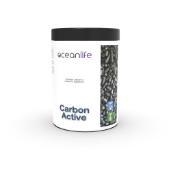 Carbon Active - 1000 ml