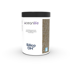 Silico OH- - 1000 ml
